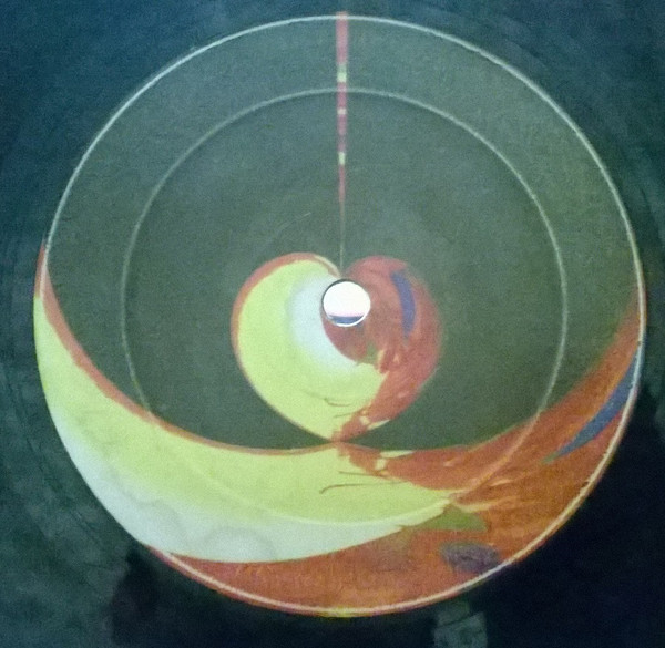 Intelect Bass – Damelo - Imagen 3